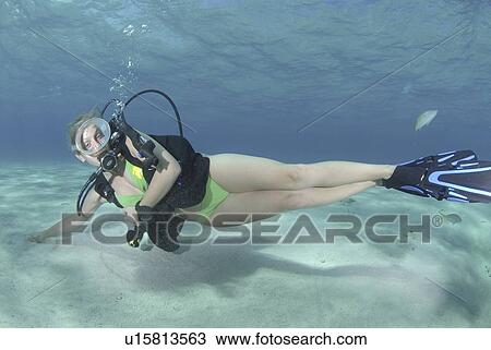 Bikini Diver at Stingray City Sandbar, Grand Cayman Island, Cayman Islands, Caribbean View Large Photo Image Stock Image - Bikini Diver at Stingray City Sandbar, Grand Cayman Island, Cayman Islands, Caribbean. Fotosearch