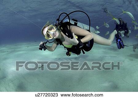 Bikini Diver at Stingray City Sandbar, Grand Cayman Island, Cayman Islands, Caribbean View Large Photo Image Stock Image - Bikini Diver at Stingray City Sandbar, Grand Cayman Island, Cayman Islands, Caribbean. Fotosearch