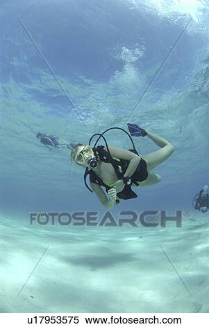 Bikini Diver at Stingray City Sandbar, Grand Cayman Island, Cayman Islands, Caribbean View Large Photo Image Stock Photography - Bikini Diver at Stingray City Sandbar, Grand Cayman Island, Cayman Islands, Caribbean. Fotosearch
