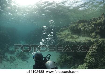 Stock Photo - Diver. Dahab, Red Sea, Egypt.. Fotosearch