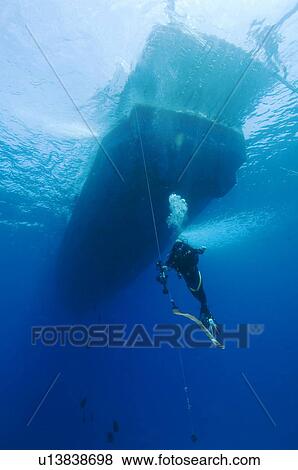 Diver decompressing beneath dive boat, blue background, Egyptian Red Sea View Large Photo Image Stock Photo - Diver decompressing beneath dive boat, blue background, Egyptian Red Sea. Fotosearch