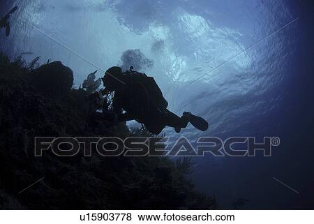 Stock Photo - Diver in silhouette, Grand Cayman Island, Cayman Islands, Caribbean. Fotosearch