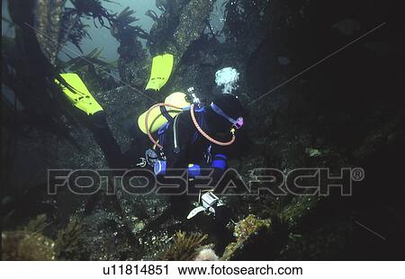 Diver inside British Blockship Doyle, Scapa Flow, Orkney islands, Scotland, UK View Large Photo Image Stock Image - Diver inside British Blockship Doyle, Scapa Flow, Orkney islands, Scotland, UK. Fotosearch