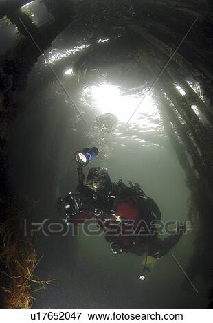 Stock Photo - Diver inside British Blockship FC Pontoon, Scapa Flow, Orkney islands, Scotland, UK. Fotosearch