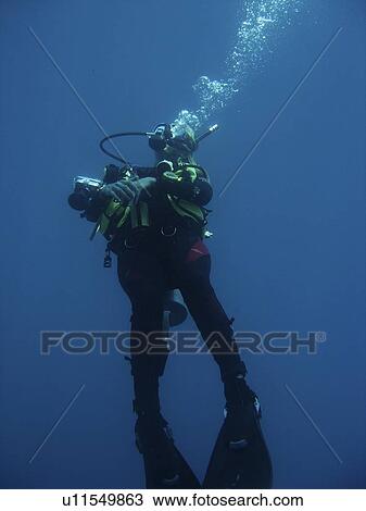 Diver Looking up at the surface. Sabang. philippines View Large Photo Image Stock Image - Diver Looking up at the surface. Sabang. philippines. Fotosearch