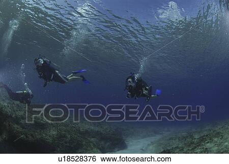 Divers swimming over spur and groove reef, Grand Cayman Island, Cayman Islands, Caribbean View Large Photo Image Stock Photograph - Divers swimming over spur and groove reef, Grand Cayman Island, Cayman Islands, Caribbean. Fotosearch