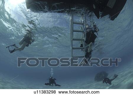 Divers under boat's ladder, Grand Cayman Island, Cayman Islands, Caribbean View Large Photo Image Stock Photo - Divers under boat's ladder, Grand Cayman Island, Cayman Islands, Caribbean. Fotosearch