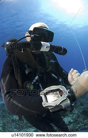 Technical Divers using Trimix, Rebreathers and technical diving equipment, Divetech, Grand Cayman, Cayman Islands, Caribbean View Large Photo Image Stock Image - Technical Divers using Trimix, Rebreathers and technical diving equipment, Divetech, Grand Cayman, Cayman Islands, Caribbean. Fotosearch