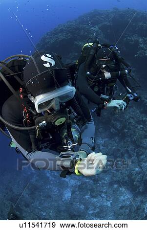 Technical Divers using Trimix, Rebreathers and technical diving equipment, Divetech, Grand Cayman, Cayman Islands, Caribbean View Large Photo Image Stock Photo - Technical Divers using Trimix, Rebreathers and technical diving equipment, Divetech, Grand Cayman, Cayman Islands, Caribbean. Fotosearch