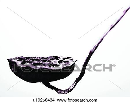 Indoor, Plant, Water Lily, Nature, Hole View Large Photo Image Picture - Indoor, Plant, Water Lily, Nature, Hole. Fotosearch