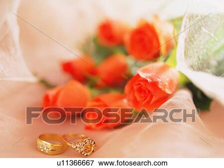 diamond, rose, flower, gold, fabric, plant View Large Photo Image Stock Photo - diamond, rose, flower, gold, fabric, plant. Fotosearch