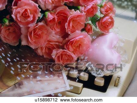 Stock Image - flower, rose, pattern, picture, card, pillow. Fotosearch