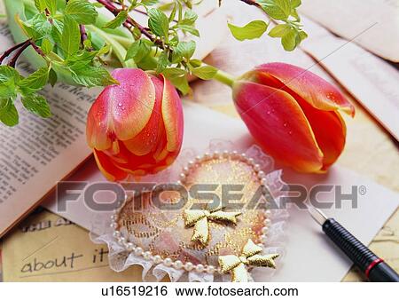 Stock Photograph - paper, pen, newspaper, love, leaf, heart shaped. Fotosearch