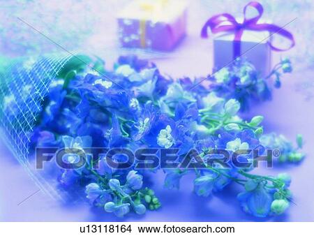 Picture - plant, flower, bouqute, gift, ribbon. Fotosearch