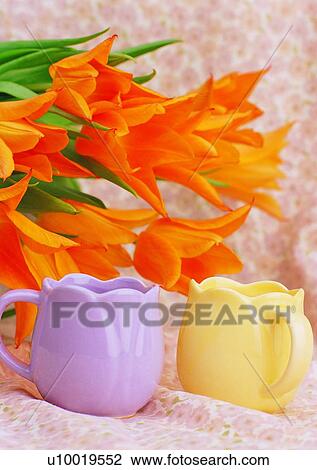 plant, flower, glass, cup, leaf, fabric View Large Photo Image Stock Image - plant, flower, glass, cup, leaf, fabric. Fotosearch
