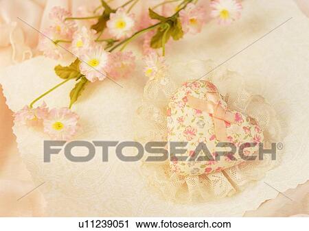 plant, flower, leaf, heart shaped, bow, cotton View Large Photo Image Stock Image - plant, flower, leaf, heart shaped, bow, cotton. Fotosearch