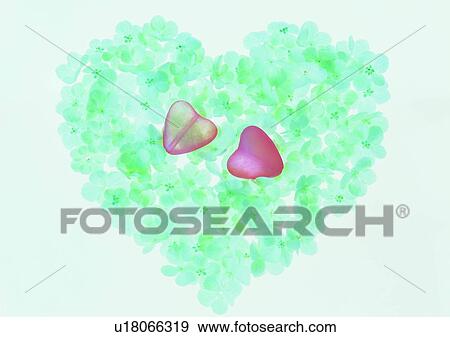 red, green, plant, heart shaped, love, petal View Large Photo Image Stock Photo - red, green, plant, heart shaped, love, petal. Fotosearch