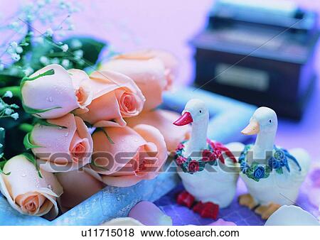 Stock Photo - rose, duck, pink, petal, jewelry box, frame. Fotosearch
