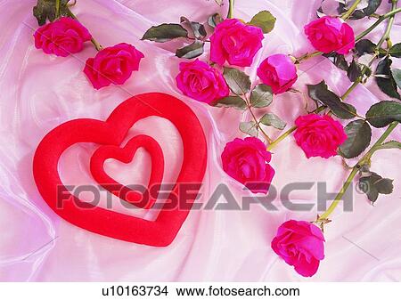 Picture - rose, fabric, leaf, green, flower, love. Fotosearch
