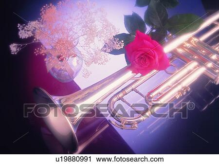 rose, vase, romantic, flower, trumpet, glass View Large Photo Image Stock Image - rose, vase, romantic, flower, trumpet, glass. Fotosearch