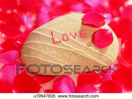 stone, word, pattern, stripe, petal, red View Large Photo Image Stock Photography - stone, word, pattern, stripe, petal, red. Fotosearch