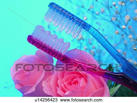 Stock Image - toothbrush, pink, blue, water drop, rose, background. Fotosearch