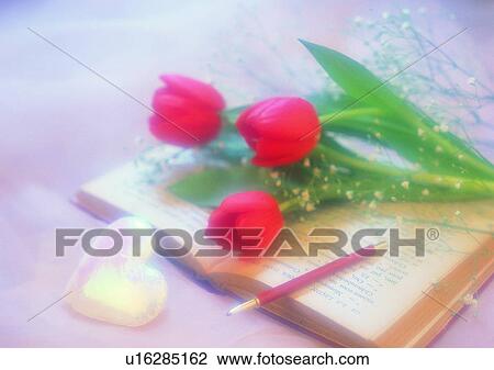 tulip, book, love, frame, heart shaped, orange View Large Photo Image Stock Image - tulip, book, love, frame, heart shaped, orange. Fotosearch