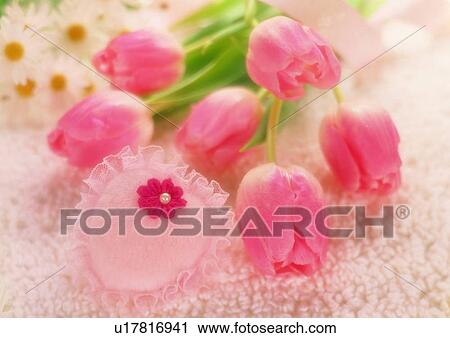 Stock Image - tulip, love, pillow, pink, heart shaped, daisy. Fotosearch