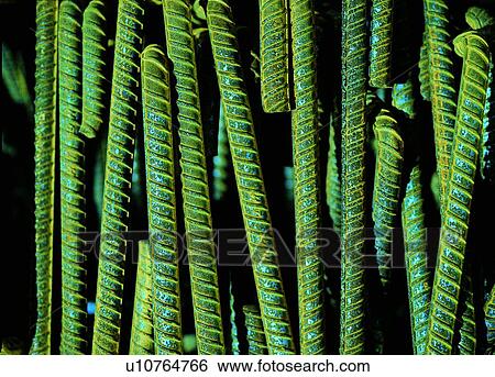 Stock Photograph - Close-Up, Construction Equipment, Full Frame, Indoor. Fotosearch