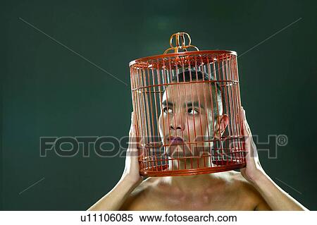 Bare Chest, Cage, Birdcage, Asian Ethnicity View Large Photo Image Stock Photography - Bare Chest, Cage, Birdcage, Asian Ethnicity. Fotosearch