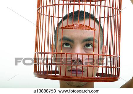Bare Chest, Close-Up, Cage, Birdcage, Asian Ethnicity View Large Photo Image Stock Image - Bare Chest, Close-Up, Cage, Birdcage, Asian Ethnicity. Fotosearch