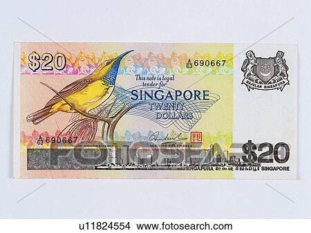Picture - currency, cash, business, Singapore dollar, money, note. Fotosearch