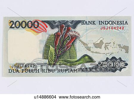 money, cash, currency, business, bill View Large Photo Image Picture - money, cash, currency, business, bill. Fotosearch