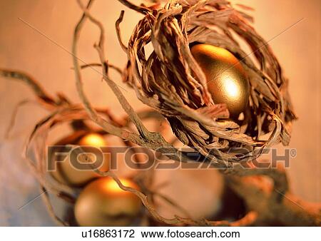 indoor, light, shadow, gold, egg, nest View Large Photo Image Stock Image - indoor, light, shadow, gold, egg, nest. Fotosearch