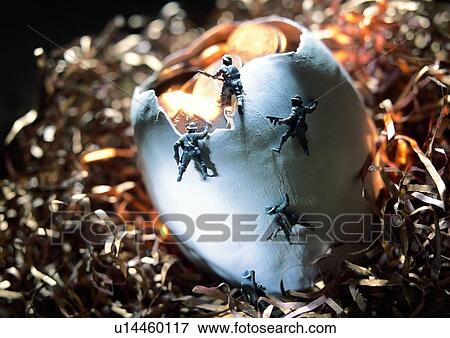 Stock Photo - indoor, money, cash, light, shadow, egg shell. Fotosearch