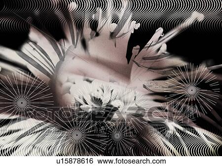Stock Photograph - Blossom superimposed on a floral pattern. Fotosearch