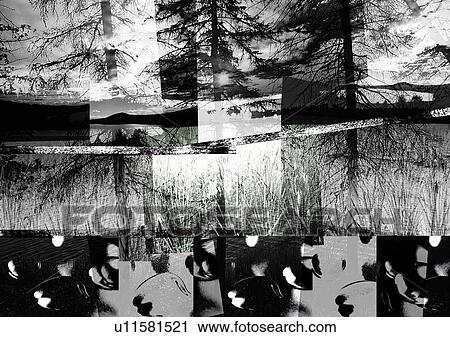 Stock Image - Patchwork images superimposed on an image of the wilderness. Fotosearch