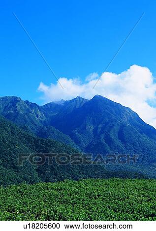 Stock Image - cloud, nature, sky, mountain, grass. Fotosearch