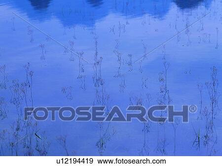 Stock Photo - cloud, reflection, river, mountain, grass, water. Fotosearch
