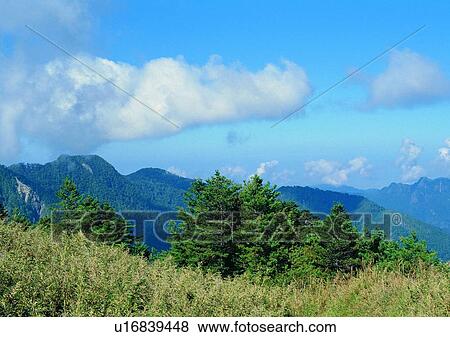 Stock Photo - nature, mountain, cloud, sky, grass. Fotosearch