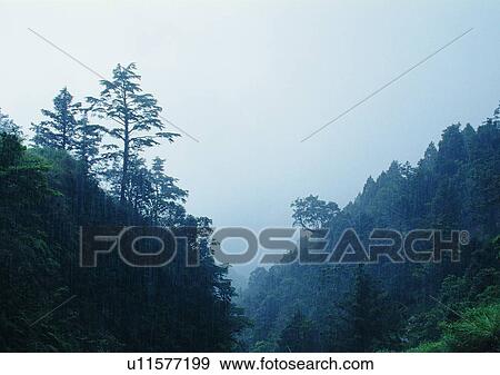 nature, sky, cloud, mountain, grass, tree View Large Photo Image Stock Photo - nature, sky, cloud, mountain, grass, tree. Fotosearch