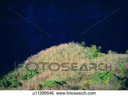Stock Photograph - nature, sky, cloud, mountain, grass. Fotosearch