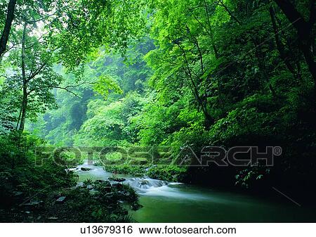 Stock Photograph - nature, sky, cloud, mountain, grass, forest. Fotosearch