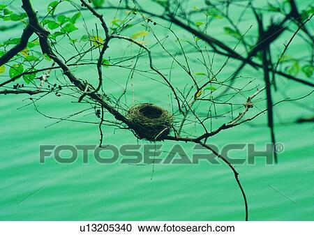 Stock Image - nature, sky, cloud, mountain, nest, tree. Fotosearch