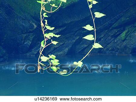Stock Photo - nature, sky, cloud, mountain, river, tree. Fotosearch