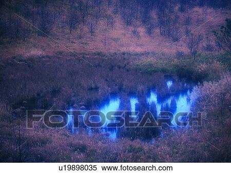 Stock Photography - reflection, grass, nature, lake, cloud, mountain. Fotosearch