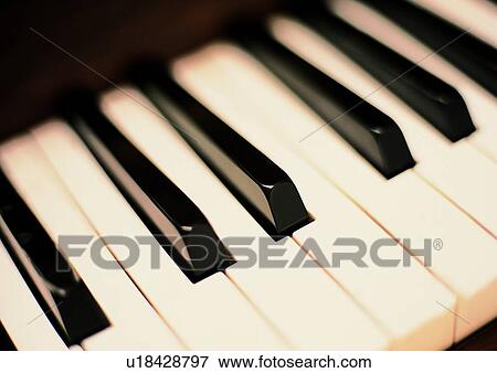 Black, Close-Up, Cut Out, Full Frame View Large Photo Image Stock Photo - Black, Close-Up, Cut Out, Full Frame. Fotosearch