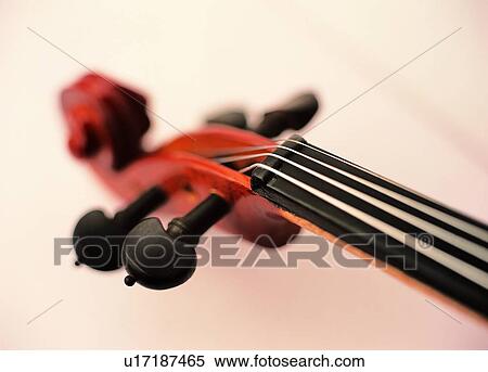 Carving, Close-Up, Colored Background, Cut Out View Large Photo Image Stock Photography - Carving, Close-Up, Colored Background, Cut Out. Fotosearch
