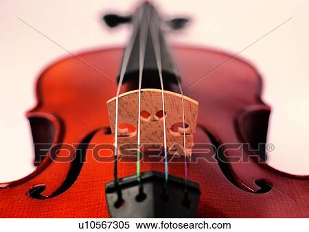 Close-Up, Cut Out, Indoor View Large Photo Image Stock Photography - Close-Up, Cut Out, Indoor. Fotosearch