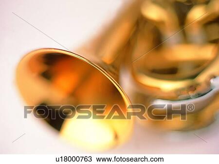 Instrument, Cut Out, Musical Instrument, Colored Background View Large Photo Image Stock Image - Instrument, Cut Out, Musical Instrument, Colored Background. Fotosearch